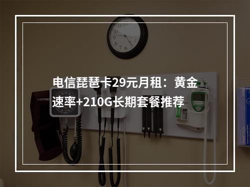 电信琵琶卡29元月租：黄金速率+210G长期套餐推荐
