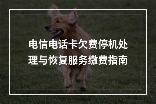 电信电话卡欠费停机处理与恢复服务缴费指南