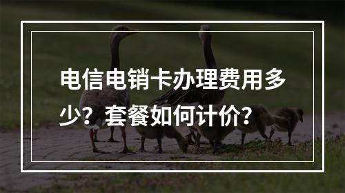 电信电销卡办理费用多少？套餐如何计价？
