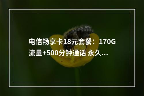 电信畅享卡18元套餐：170G流量+500分钟通话 永久优惠