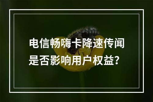 电信畅嗨卡降速传闻是否影响用户权益？