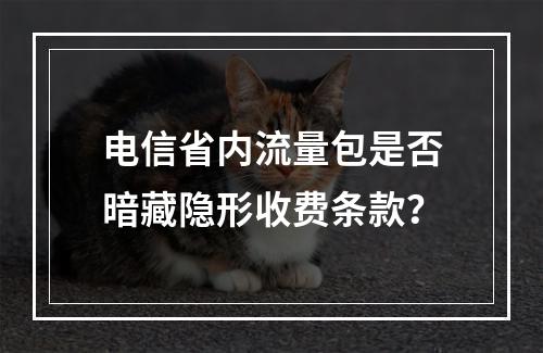 电信省内流量包是否暗藏隐形收费条款？