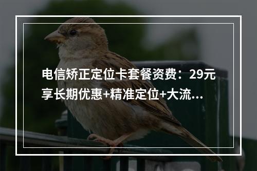 电信矫正定位卡套餐资费：29元享长期优惠+精准定位+大流量