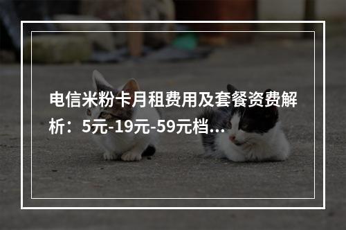 电信米粉卡月租费用及套餐资费解析：5元-19元-59元档位对比