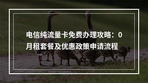 电信纯流量卡免费办理攻略：0月租套餐及优惠政策申请流程