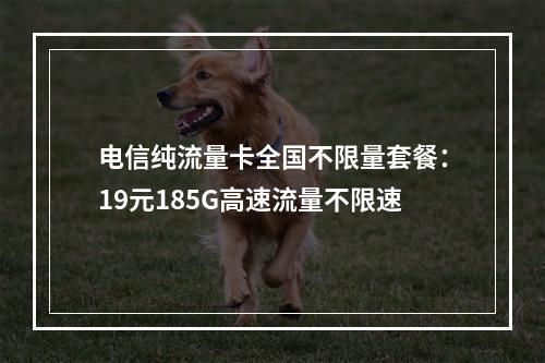 电信纯流量卡全国不限量套餐：19元185G高速流量不限速