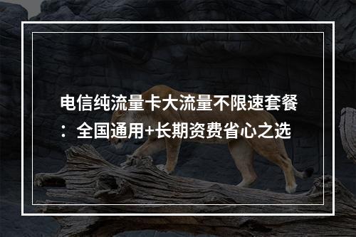 电信纯流量卡大流量不限速套餐：全国通用+长期资费省心之选