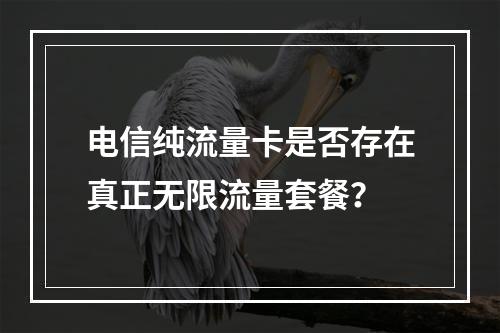 电信纯流量卡是否存在真正无限流量套餐？