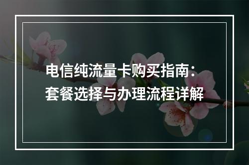 电信纯流量卡购买指南：套餐选择与办理流程详解