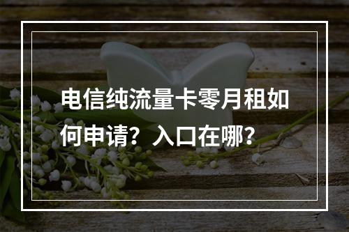电信纯流量卡零月租如何申请？入口在哪？