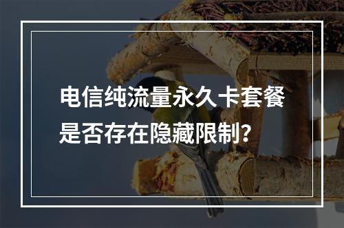 电信纯流量永久卡套餐是否存在隐藏限制？