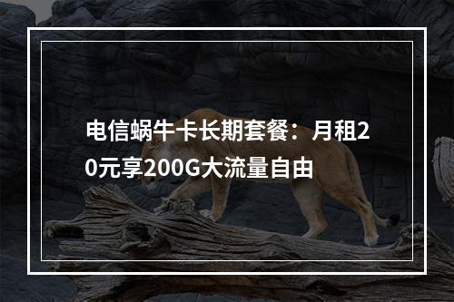 电信蜗牛卡长期套餐：月租20元享200G大流量自由