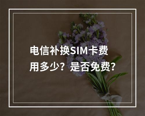 电信补换SIM卡费用多少？是否免费？