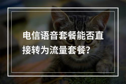 电信语音套餐能否直接转为流量套餐？