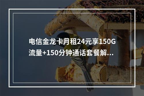 电信金龙卡月租24元享150G流量+150分钟通话套餐解析