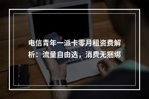 电信青年一派卡零月租资费解析：流量自由选，消费无捆绑