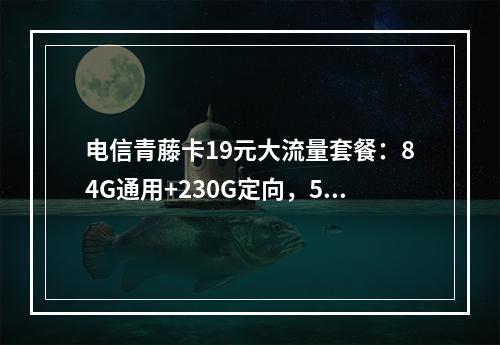 电信青藤卡19元大流量套餐：84G通用+230G定向，5G畅享