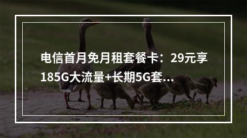 电信首月免月租套餐卡：29元享185G大流量+长期5G套餐