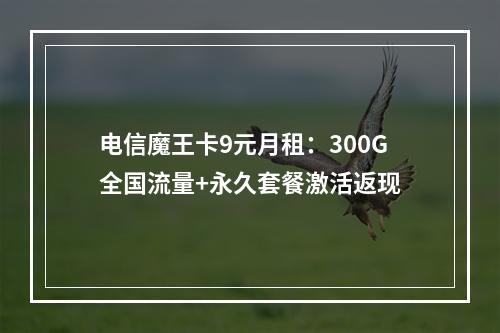 电信魔王卡9元月租：300G全国流量+永久套餐激活返现