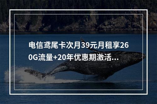 电信鸢尾卡次月39元月租享260G流量+20年优惠期激活返现