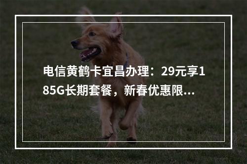 电信黄鹤卡宜昌办理：29元享185G长期套餐，新春优惠限时申请
