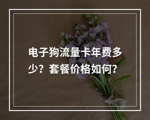 电子狗流量卡年费多少？套餐价格如何？