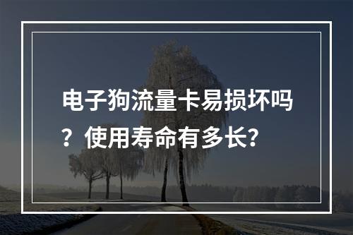 电子狗流量卡易损坏吗？使用寿命有多长？