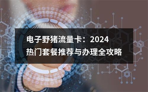 电子野猪流量卡：2024热门套餐推荐与办理全攻略