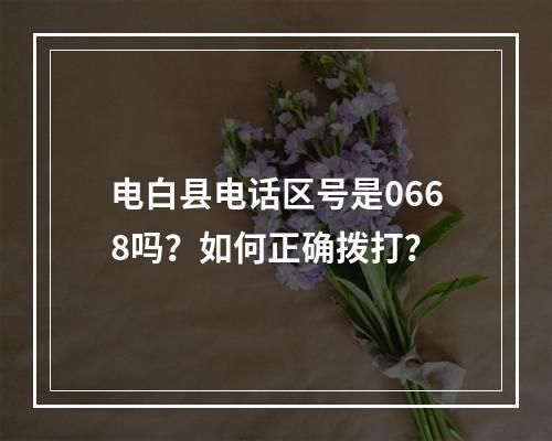 电白县电话区号是0668吗？如何正确拨打？