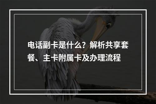 电话副卡是什么？解析共享套餐、主卡附属卡及办理流程