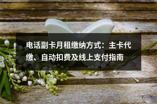 电话副卡月租缴纳方式：主卡代缴、自动扣费及线上支付指南
