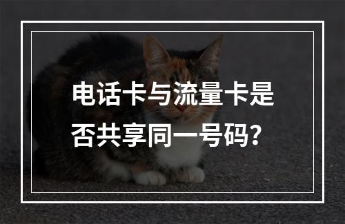 电话卡与流量卡是否共享同一号码？