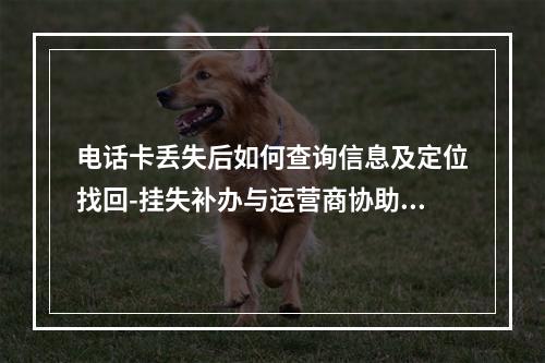 电话卡丢失后如何查询信息及定位找回-挂失补办与运营商协助方法