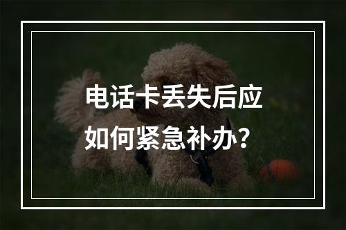 电话卡丢失后应如何紧急补办？