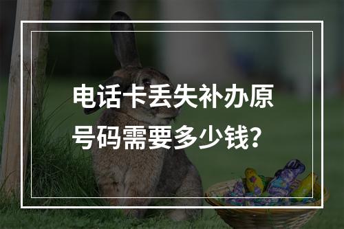 电话卡丢失补办原号码需要多少钱？