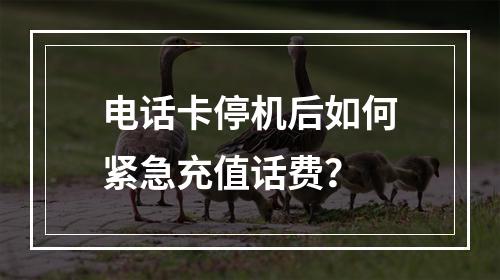电话卡停机后如何紧急充值话费？