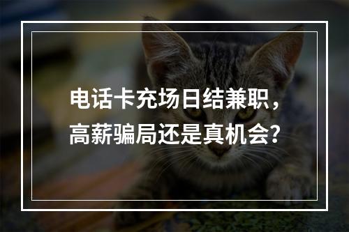 电话卡充场日结兼职，高薪骗局还是真机会？