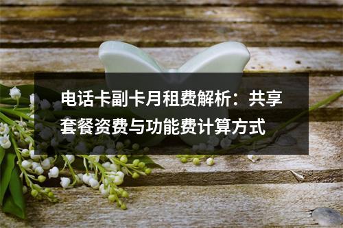 电话卡副卡月租费解析：共享套餐资费与功能费计算方式