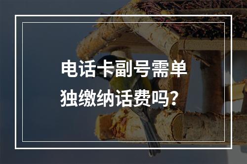 电话卡副号需单独缴纳话费吗？
