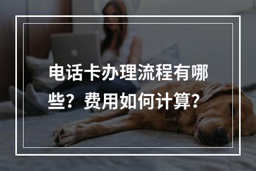 电话卡办理流程有哪些？费用如何计算？