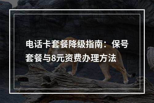 电话卡套餐降级指南：保号套餐与8元资费办理方法
