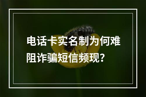 电话卡实名制为何难阻诈骗短信频现？