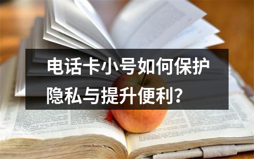 电话卡小号如何保护隐私与提升便利？