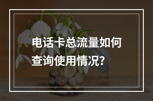 电话卡总流量如何查询使用情况？