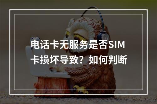 电话卡无服务是否SIM卡损坏导致？如何判断