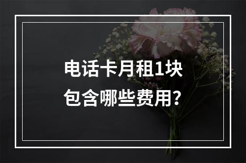 电话卡月租1块包含哪些费用？