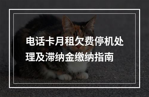 电话卡月租欠费停机处理及滞纳金缴纳指南