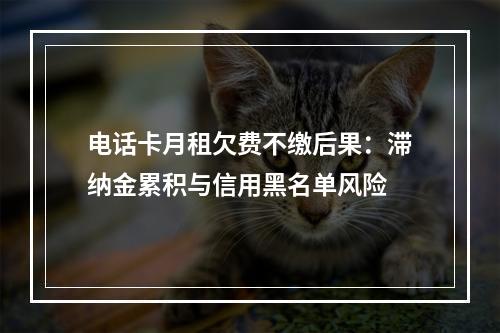 电话卡月租欠费不缴后果：滞纳金累积与信用黑名单风险
