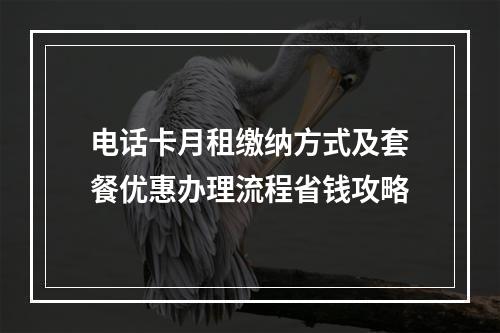 电话卡月租缴纳方式及套餐优惠办理流程省钱攻略