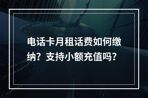 电话卡月租话费如何缴纳？支持小额充值吗？